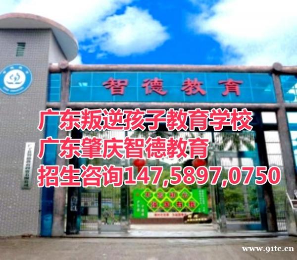 https://91tc.oss-cn-hangzhou.aliyuncs.com/attachment/editor/20241229/17354742075ax2a.jpg
