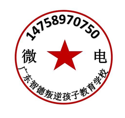 广东教育叛逆孩子学校,广东教育叛逆少年学校,智德教育